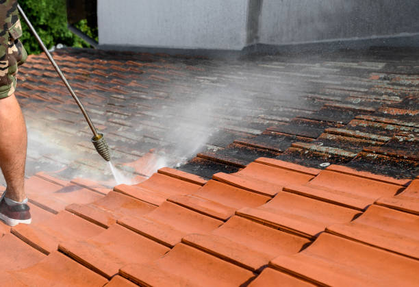 Best Commercial Building Pressure Washing  in Waterville, MN