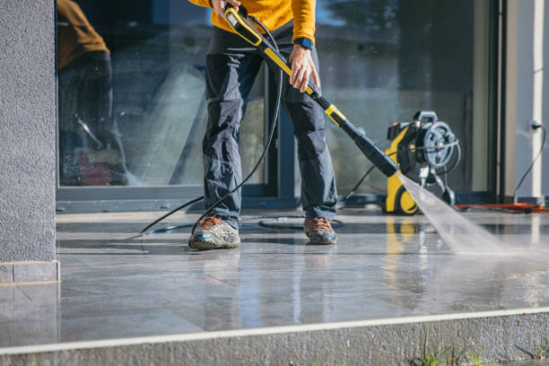Best Roof Pressure Washing  in Waterville, MN