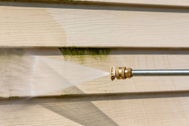 Best Local Pressure Washing Services  in Waterville, MN