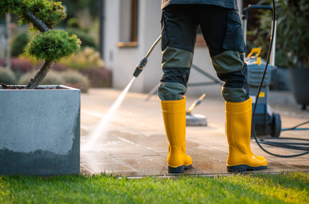 Best Exterior Home Cleaning  in Waterville, MN